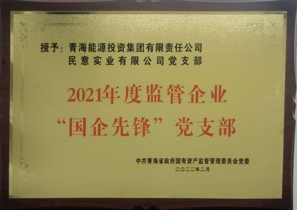 1649660697643986.jpg 國企先鋒黨支部.jpg